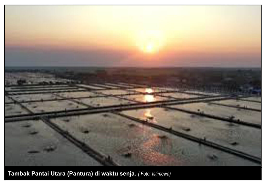 Menteri KKP, Gubernur Jabar dan Bupati Karawang Bahas Revitalisasi Tambak Pantura, Berkaitan Dengan Peran DPKPP Karawang 2 Tambak pantura di waktu Senja